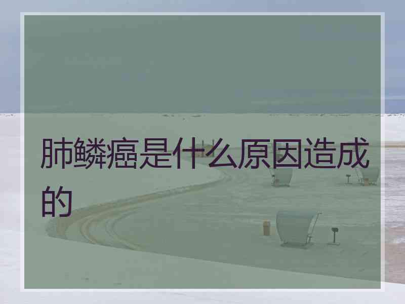 肺鳞癌是什么原因造成的