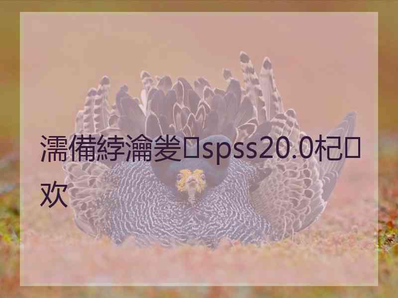 濡備綍瀹夎spss20.0杞欢