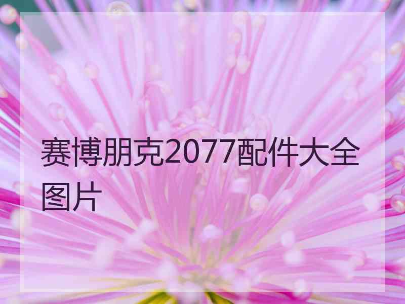 赛博朋克2077配件大全图片