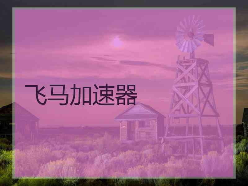 飞马加速器