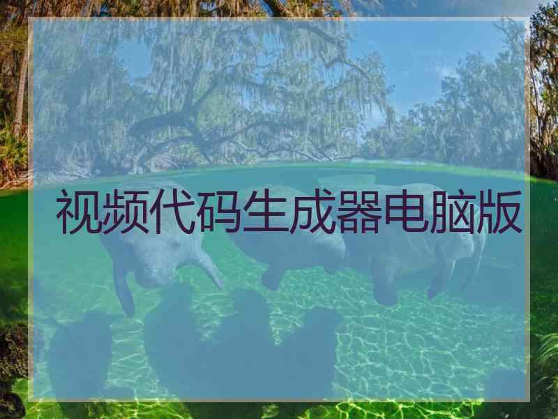 视频代码生成器电脑版