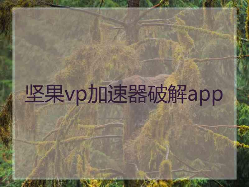 坚果vp加速器破解app