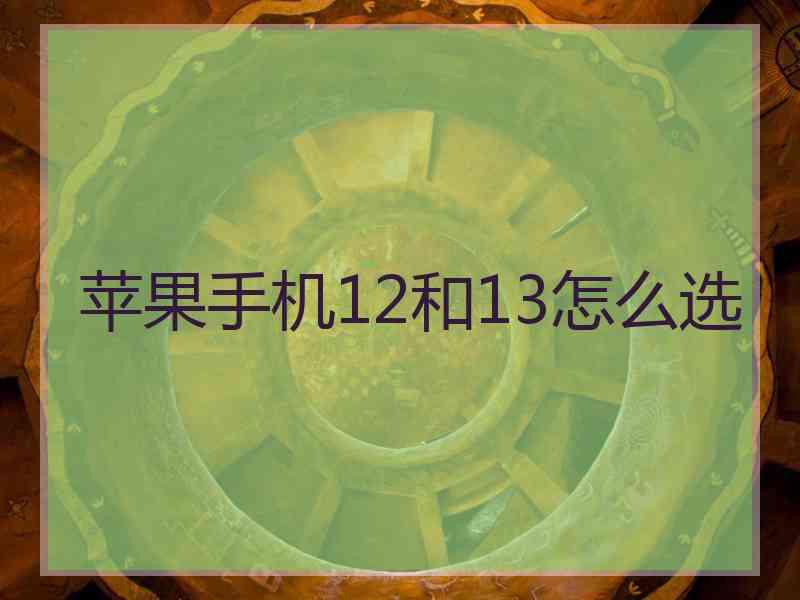 苹果手机12和13怎么选