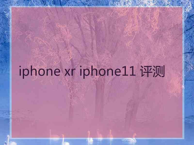 iphone xr iphone11 评测