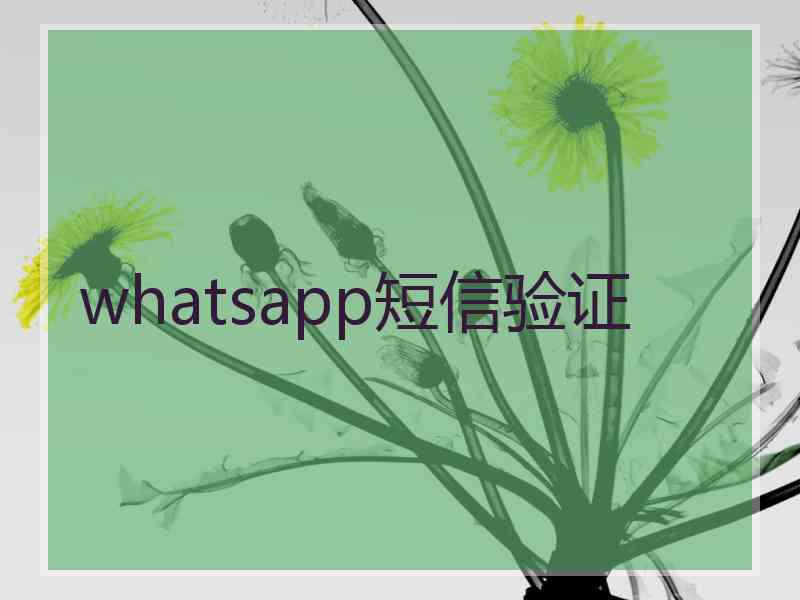 whatsapp短信验证