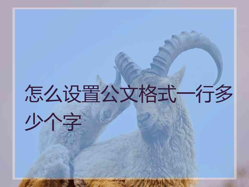 怎么设置公文格式一行多少个字