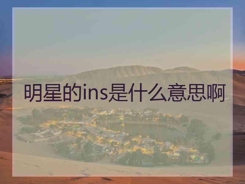 明星的ins是什么意思啊
