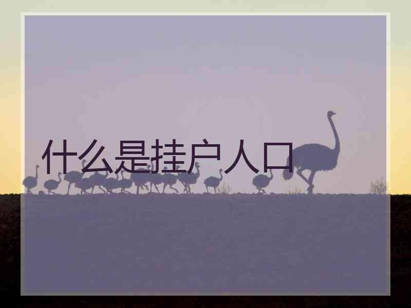 什么是挂户人口