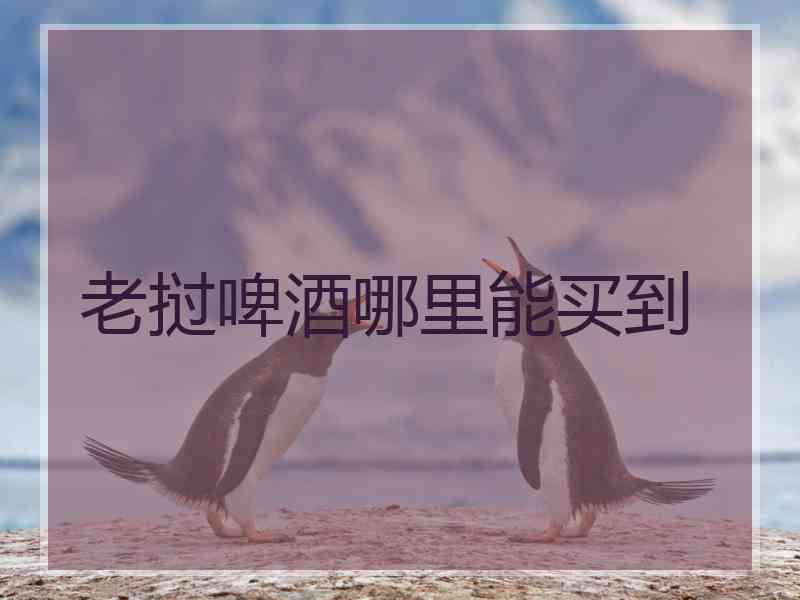 老挝啤酒哪里能买到