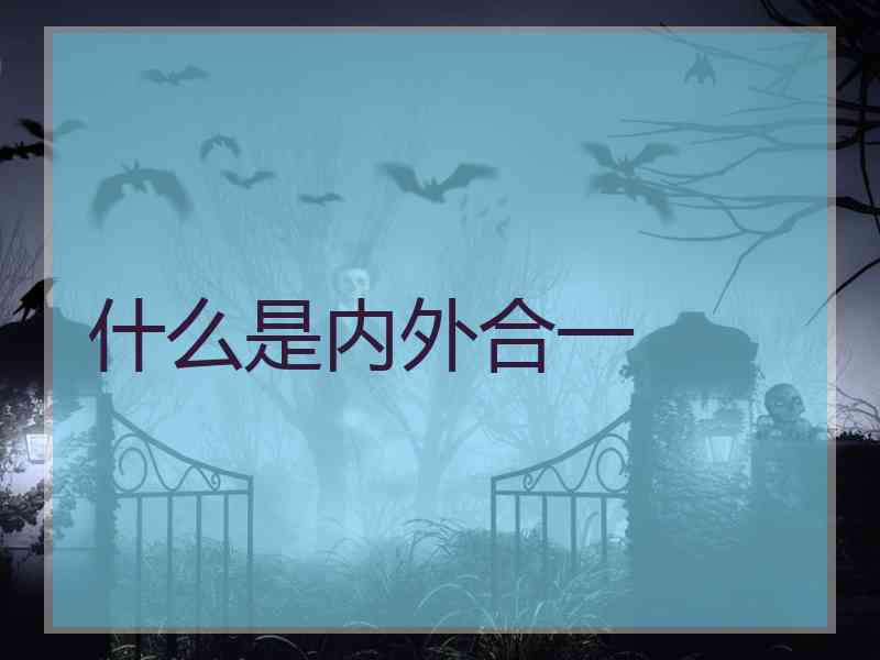 什么是内外合一