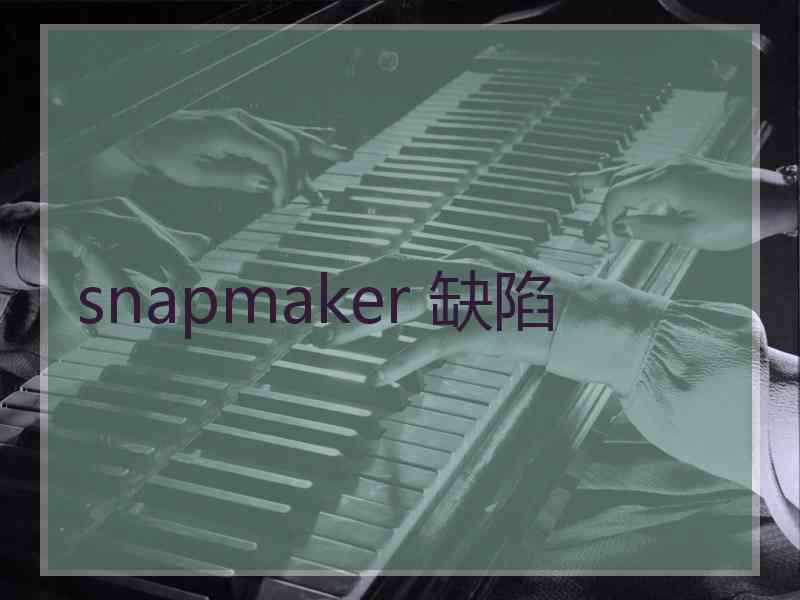snapmaker 缺陷