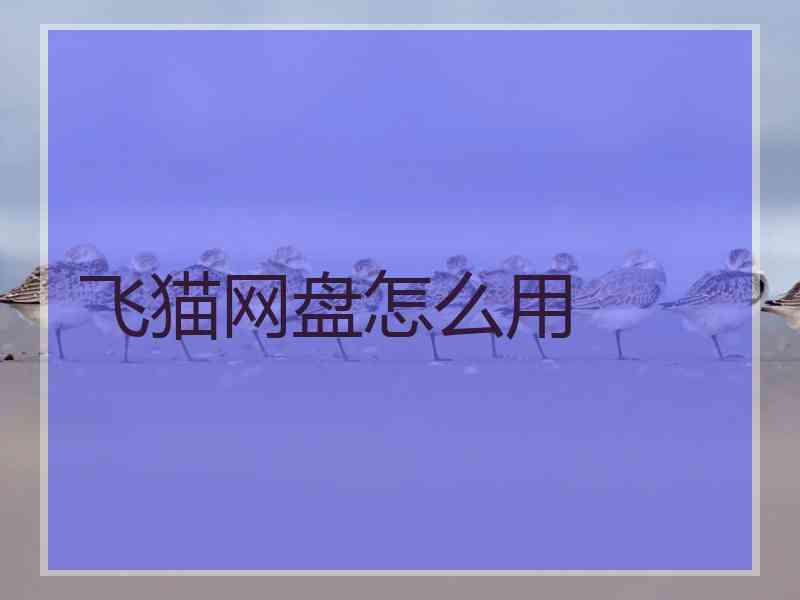飞猫网盘怎么用