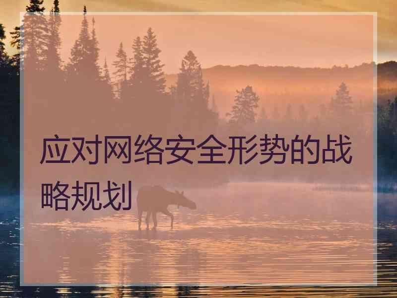 应对网络安全形势的战略规划