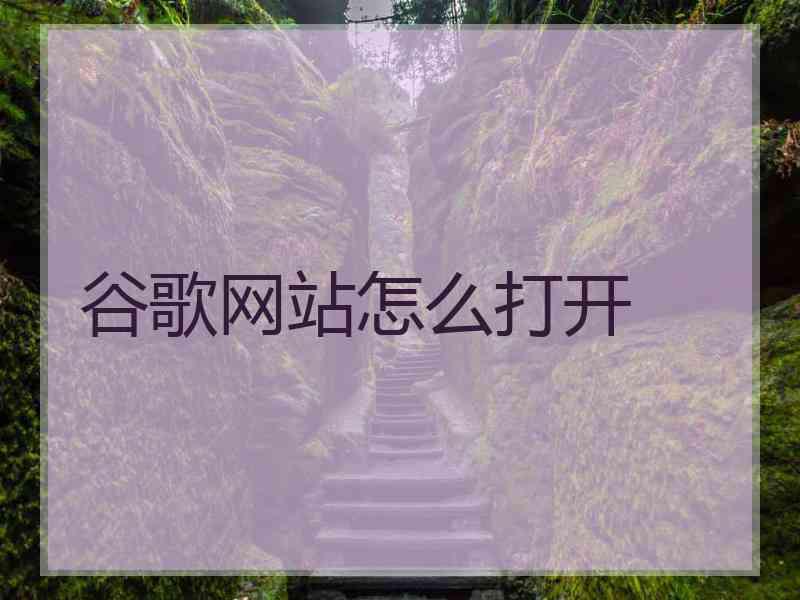 谷歌网站怎么打开