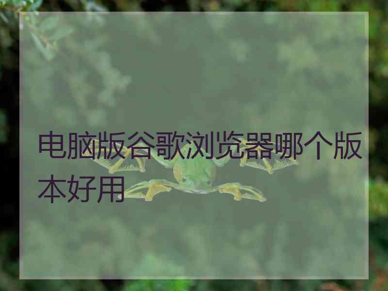 电脑版谷歌浏览器哪个版本好用