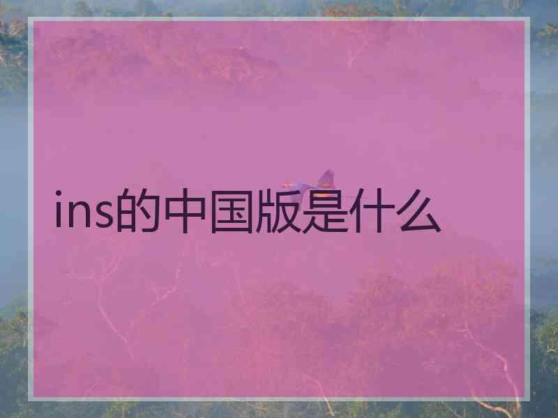 ins的中国版是什么