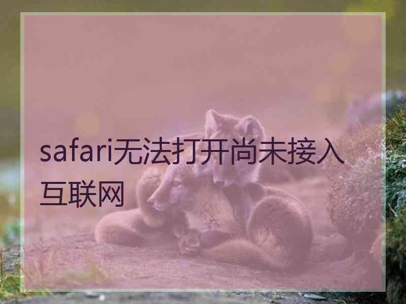 safari无法打开尚未接入互联网