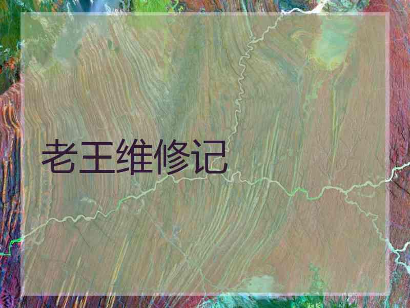 老王维修记