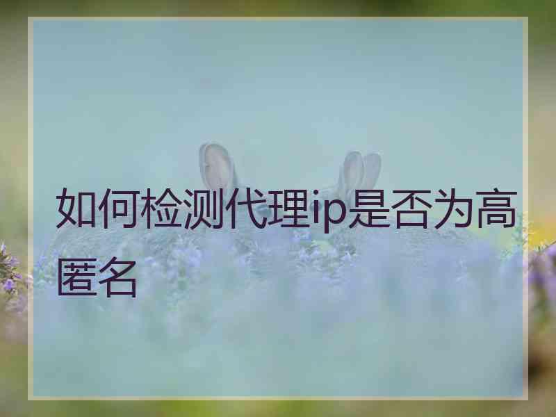 如何检测代理ip是否为高匿名
