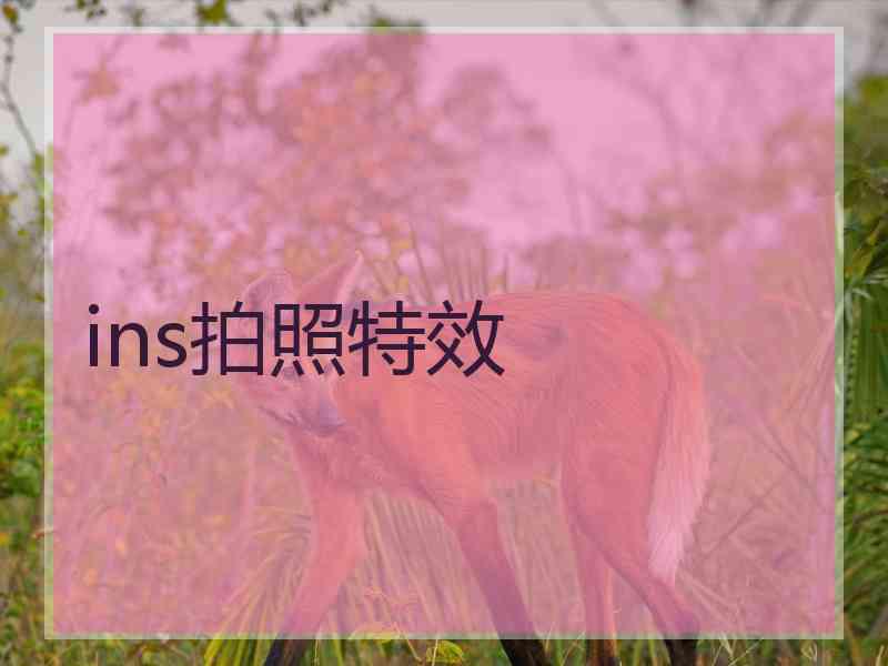 ins拍照特效