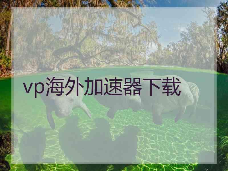 vp海外加速器下载