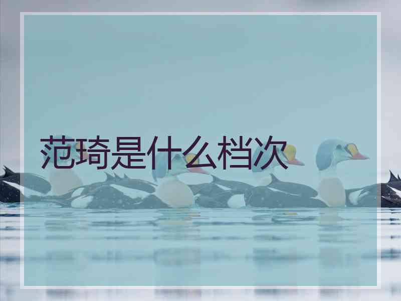 范琦是什么档次