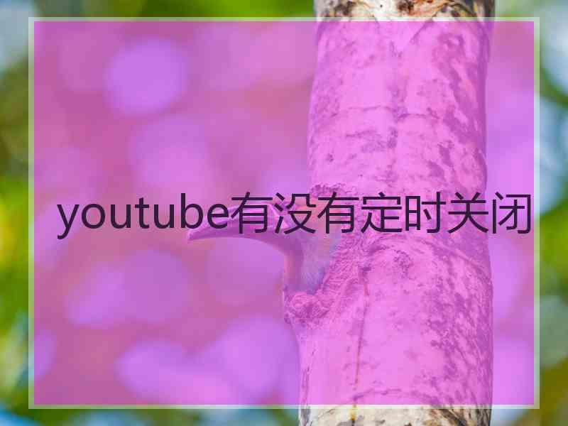 youtube有没有定时关闭