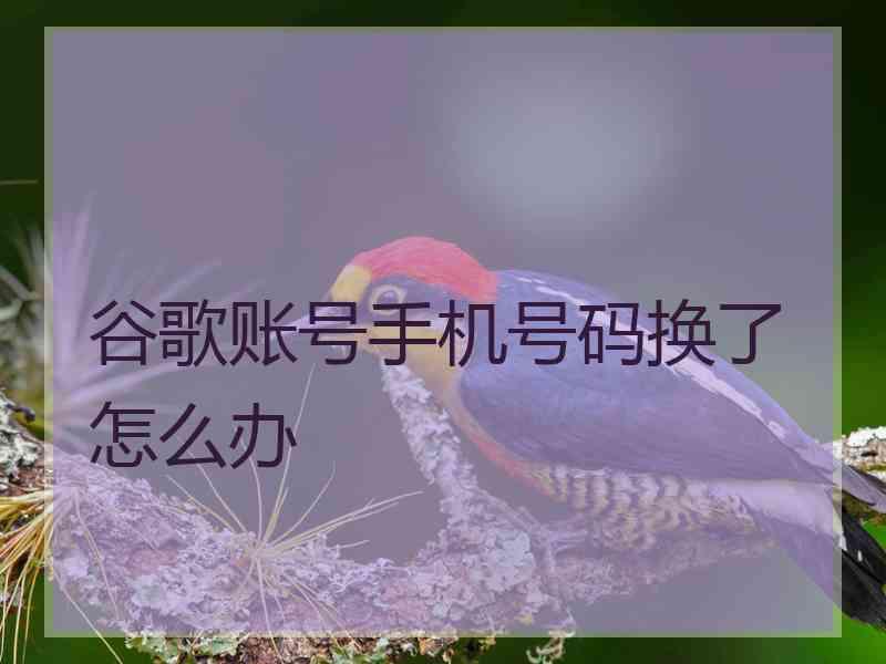 谷歌账号手机号码换了怎么办