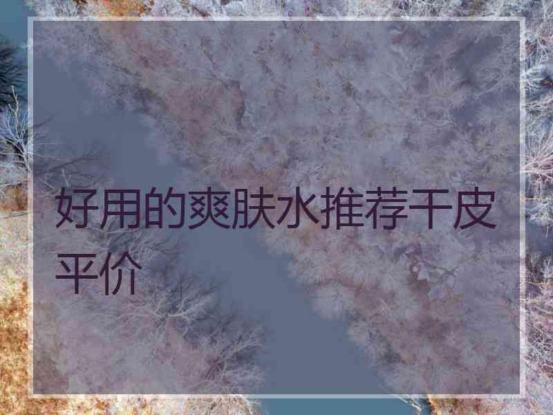 好用的爽肤水推荐干皮平价