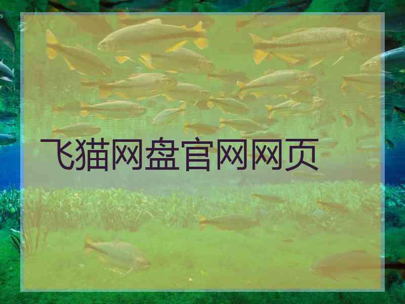 飞猫网盘官网网页