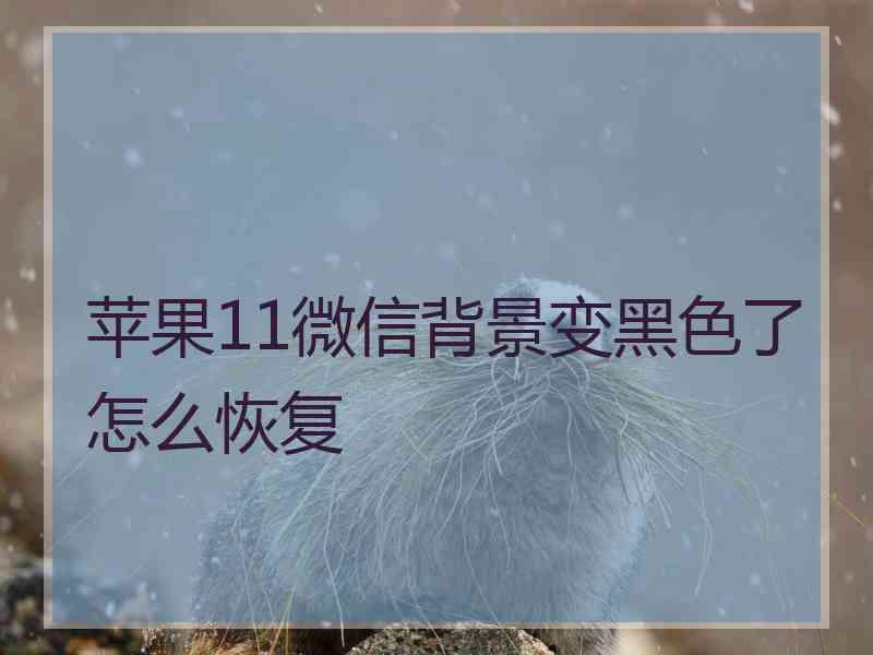 苹果11微信背景变黑色了怎么恢复