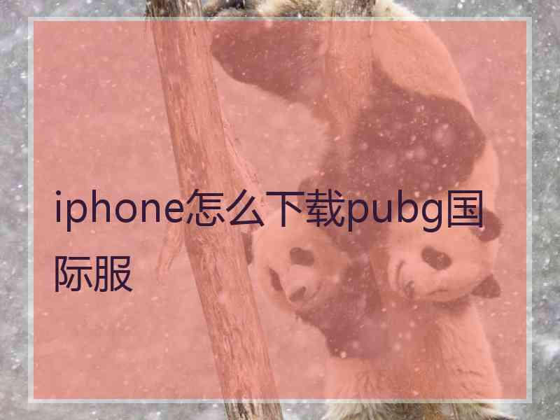 iphone怎么下载pubg国际服