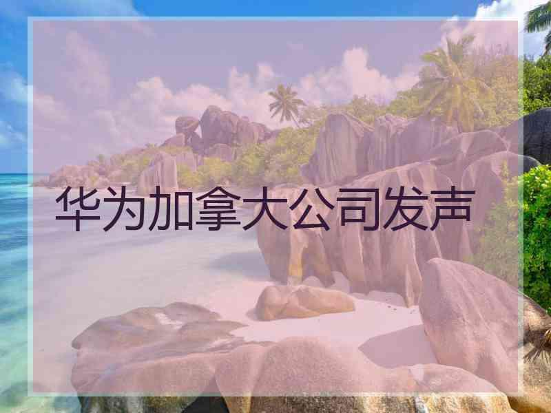 华为加拿大公司发声