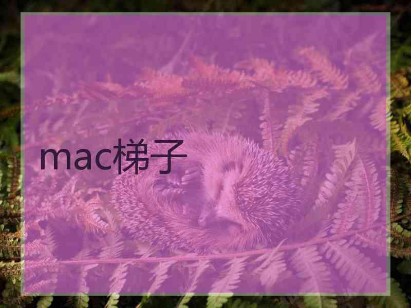 mac梯子