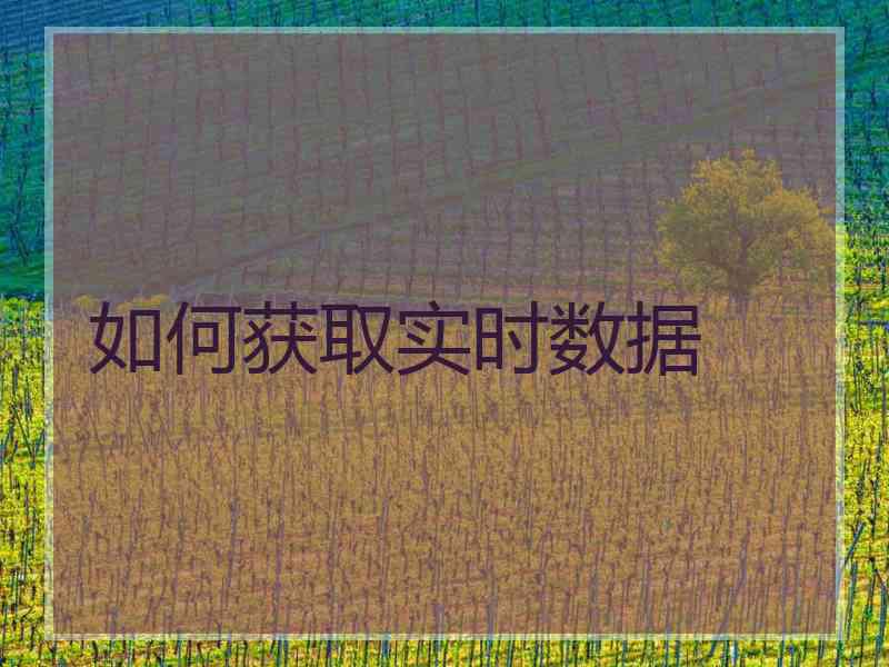 如何获取实时数据