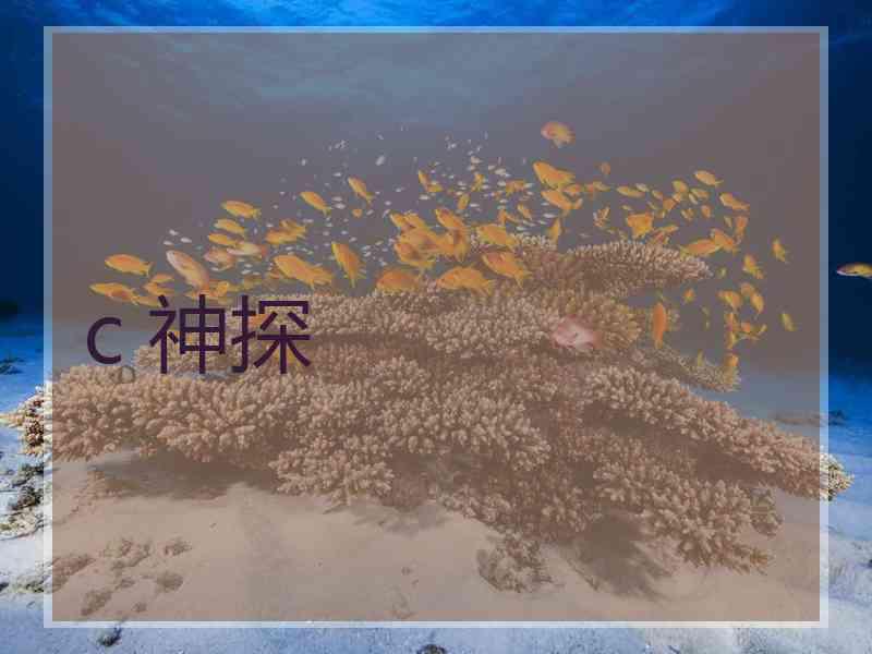 c 神探