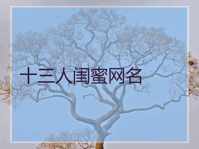 十三人闺蜜网名