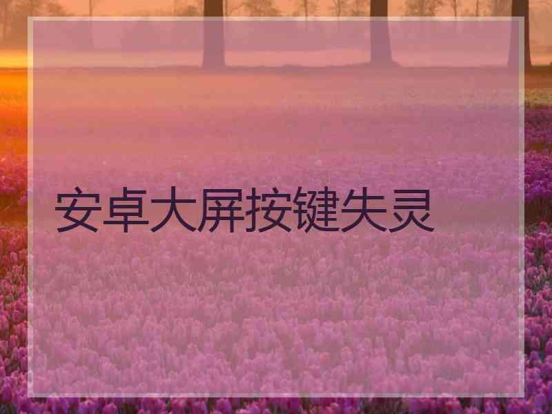 安卓大屏按键失灵