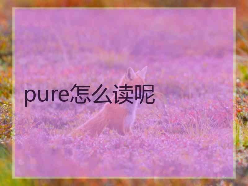 pure怎么读呢