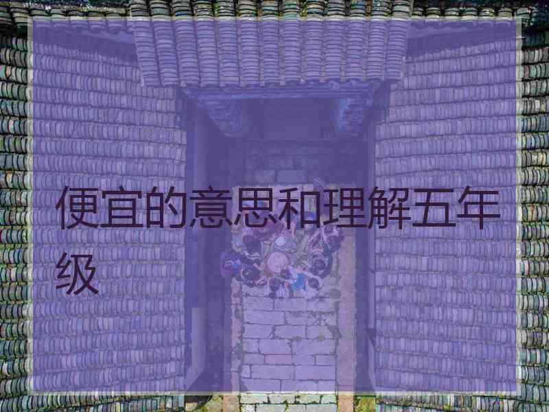 便宜的意思和理解五年级