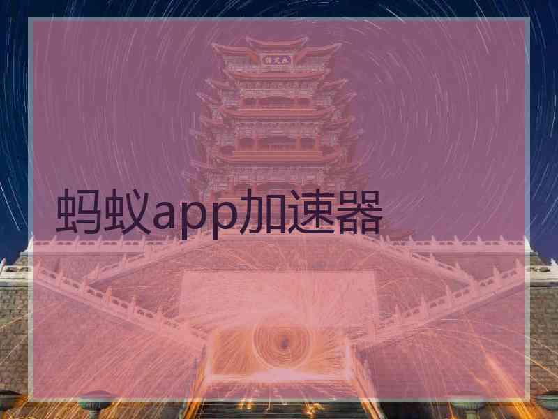 蚂蚁app加速器