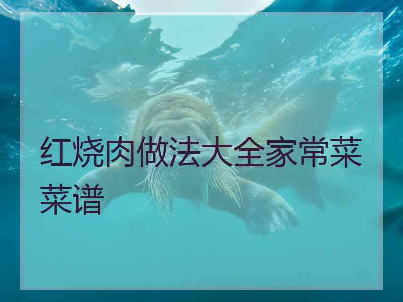 红烧肉做法大全家常菜菜谱