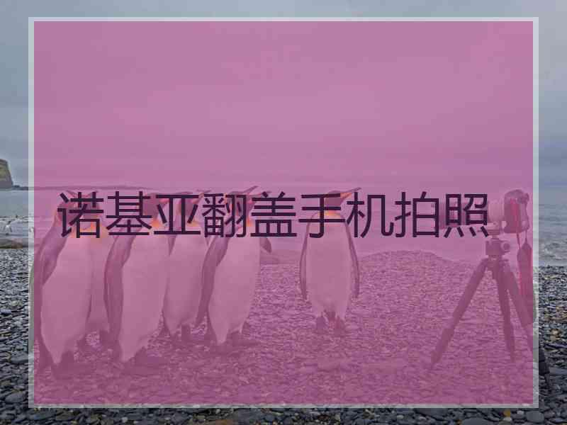 诺基亚翻盖手机拍照