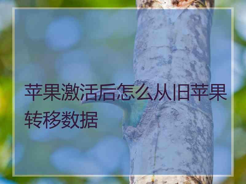 苹果激活后怎么从旧苹果转移数据