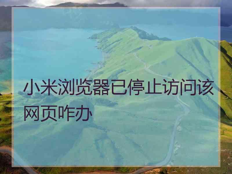 小米浏览器已停止访问该网页咋办