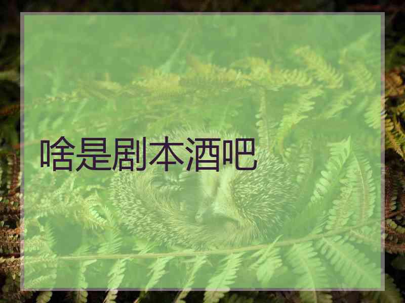 啥是剧本酒吧