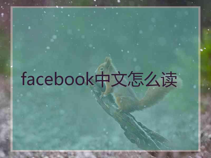 facebook中文怎么读