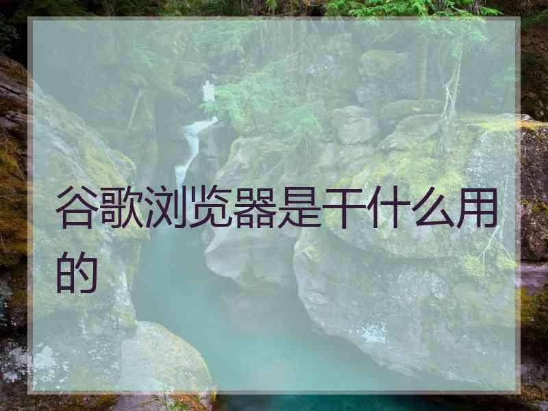 谷歌浏览器是干什么用的