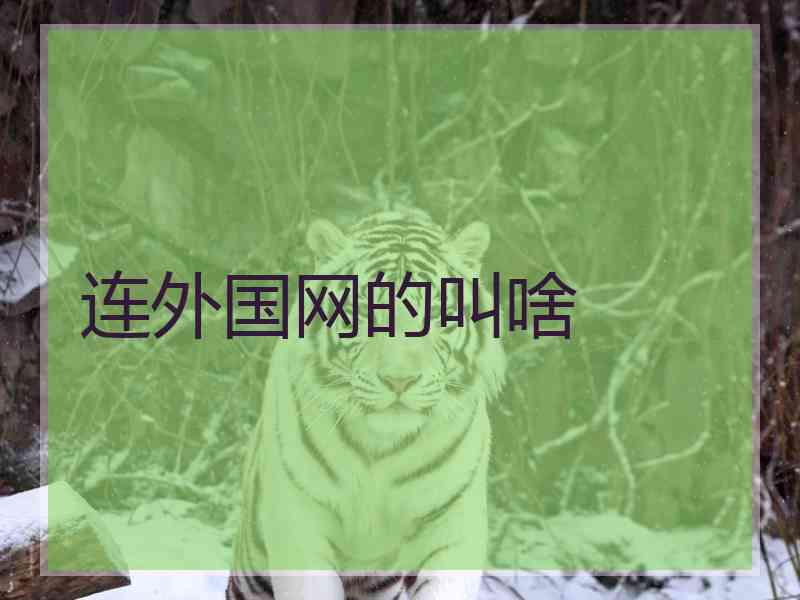 连外国网的叫啥