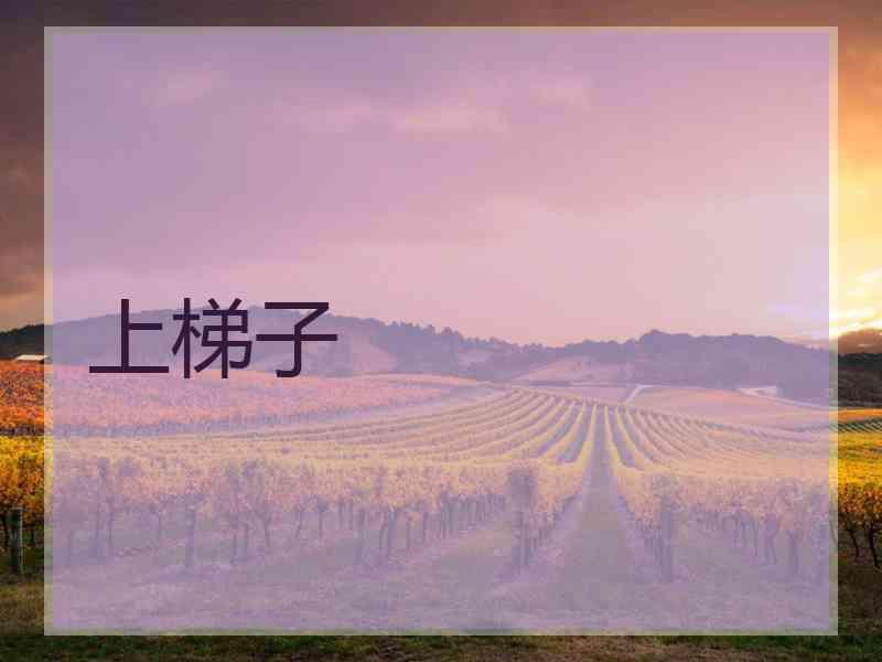 上梯子